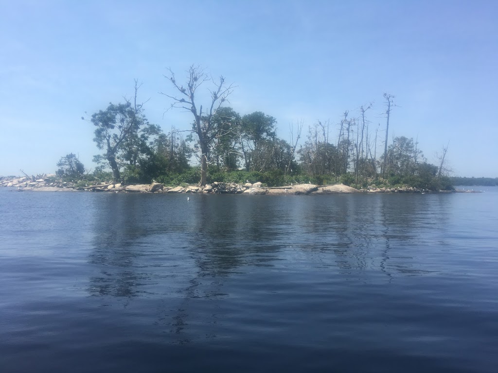 Eleanor Island Bird Sanctuary | Torrance, ON P0C 1M0, Canada