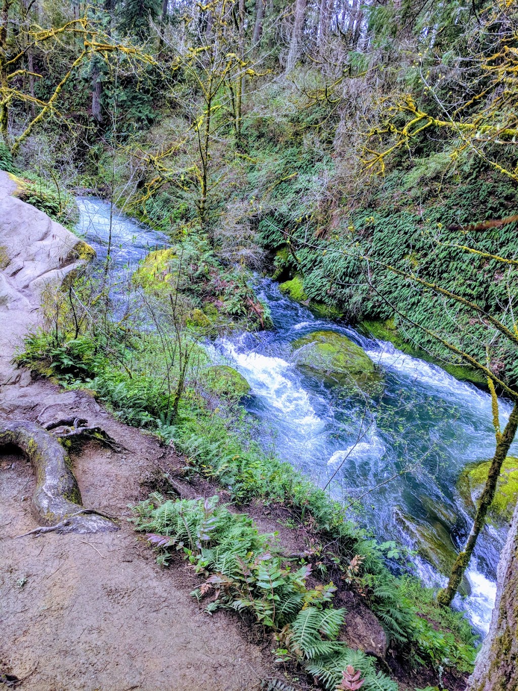 Whatcom Falls Park | 1401 Electric Ave, Bellingham, WA 98229, USA | Phone: (360) 778-7000