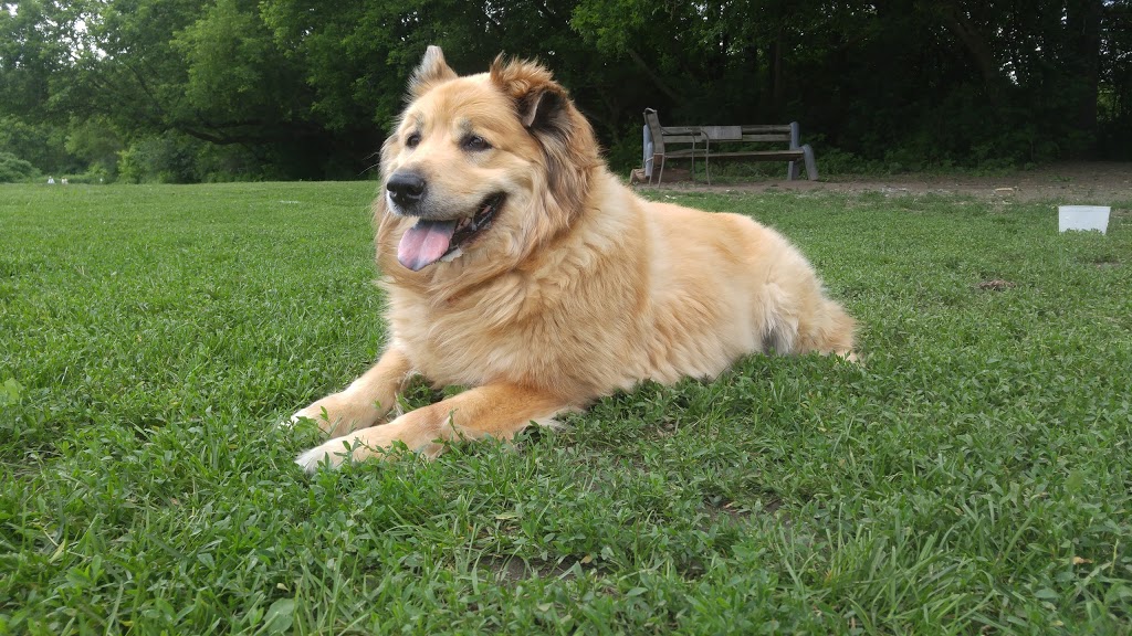 Pottersburg Off Leash Dog Park | Pottersburg-FIDO Off-leash Area, London, ON N5W 1B1, Canada | Phone: (519) 661-2489