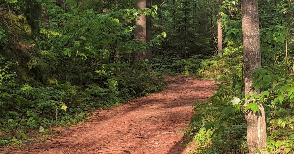 Aventure Chertsey, location de VTT pour randonnées guidées | 7520 Rue Principale, Chertsey, QC J0K 3K0, Canada | Phone: (450) 882-9000