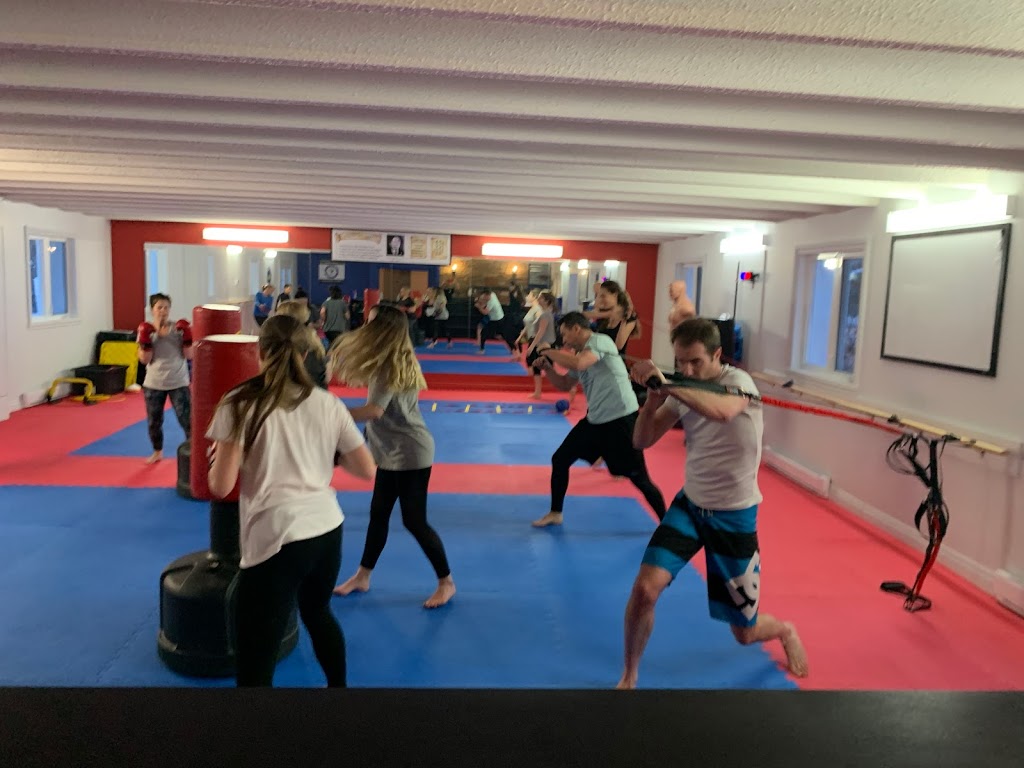 Taekwon-do Mont-Tremblant | 489 Montée Kavanagh, Mont-Tremblant, QC J8E 3H2, Canada | Phone: (819) 429-8012