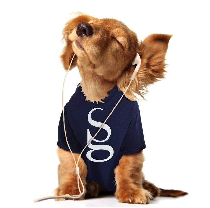 Sophie Gagnon Audioprothésiste Inc - Repentigny | 406 Rue Notre-Dame, Repentigny, QC J6A 2T1, Canada | Phone: (450) 654-9784