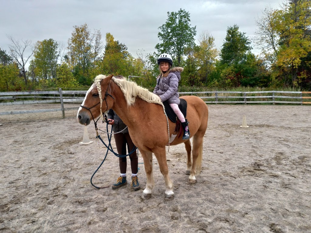 Punkin Patch Farm | 338 Chemin du Petit-Brûlé, Rigaud, QC J0P 1P0, Canada | Phone: (450) 451-1158