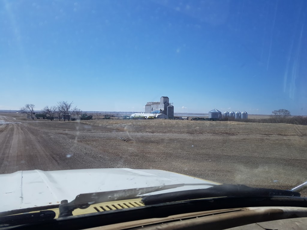 R W Organic Ltd | 401 Railway Ave, Mossbank, SK S0H 3G0, Canada | Phone: (306) 354-2660