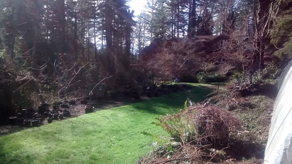 Wheelbarrel Nursery | 2280 South Rd, Gabriola, BC V0R 1X7, Canada | Phone: (250) 247-8728