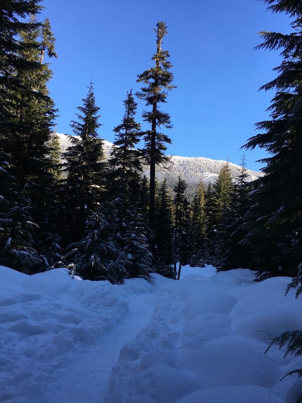 Ski Callaghan | 5 Callaghan Rd, Whistler, BC V0N 1B8, Canada | Phone: (604) 964-0060
