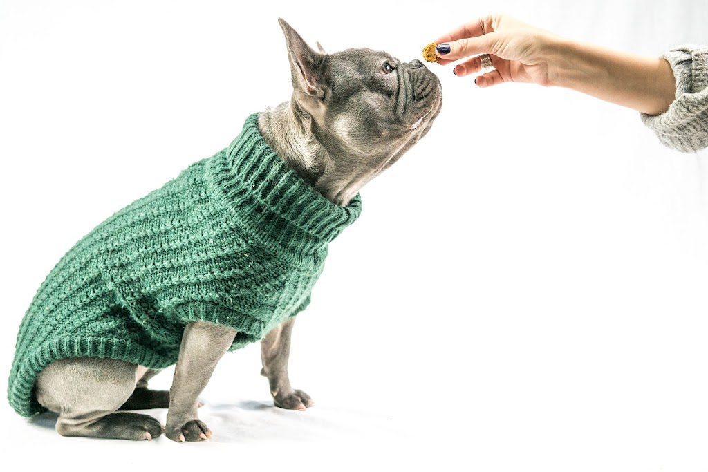 Crocx - Produits naturels de chanvre pour animaux | 455 4e rang de Simpson, Saint-Cyrille-de-Wendover, QC J1Z 1T8, Canada | Phone: (819) 850-2643