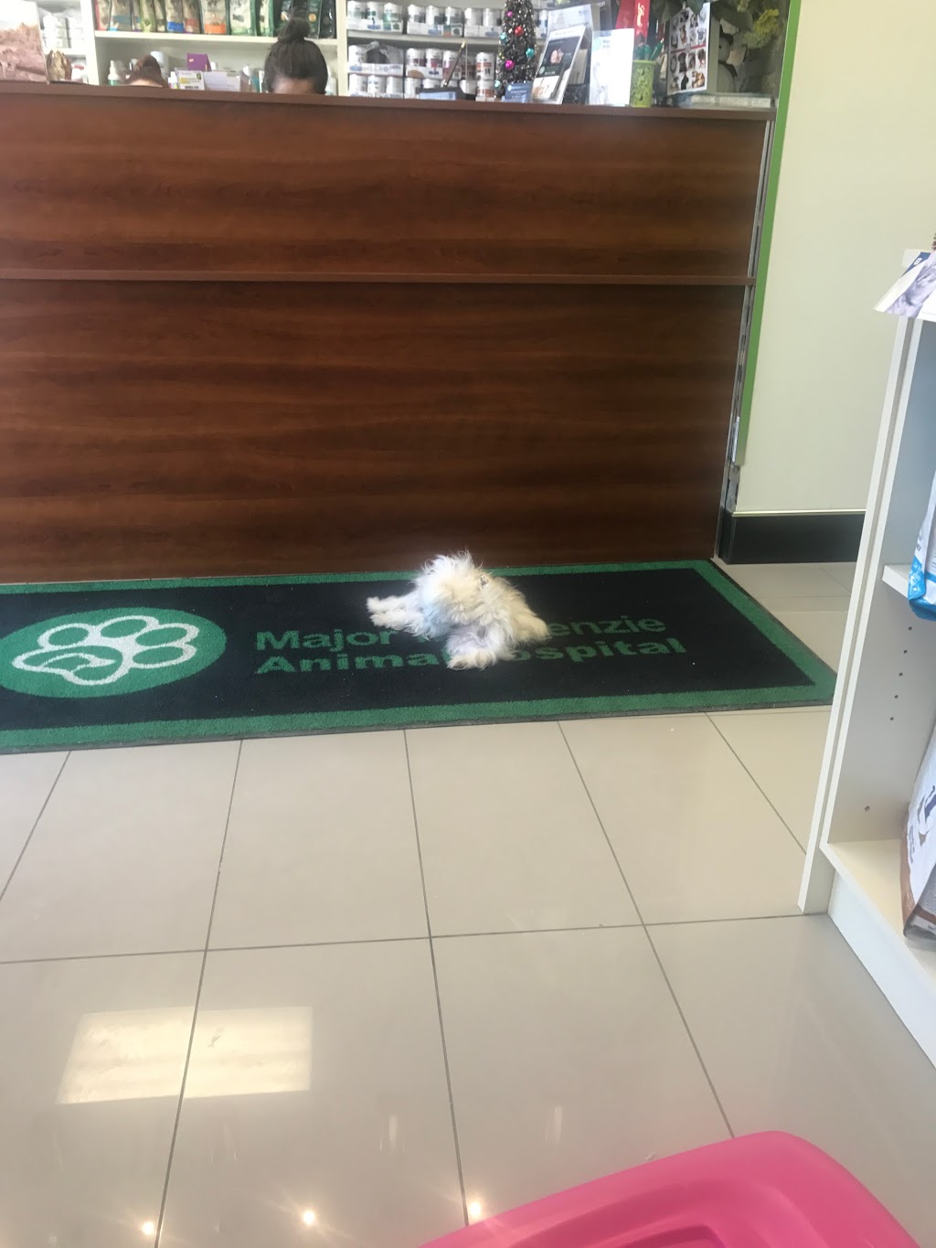 Major Mackenzie Animal Hospital | 3737 Major MacKenzie Dr W, Woodbridge, ON L4H 3C8, Canada | Phone: (647) 297-8141