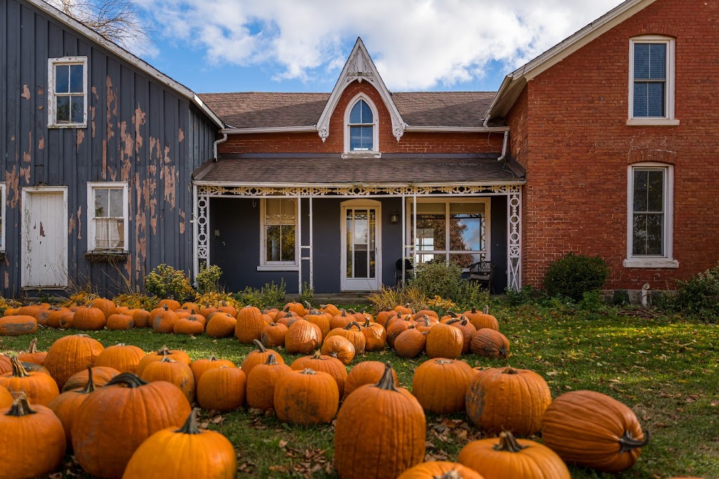 Pingles Farm Market | 1805 Taunton Rd, Hampton, ON L0B 1J0, Canada | Phone: (905) 725-6089