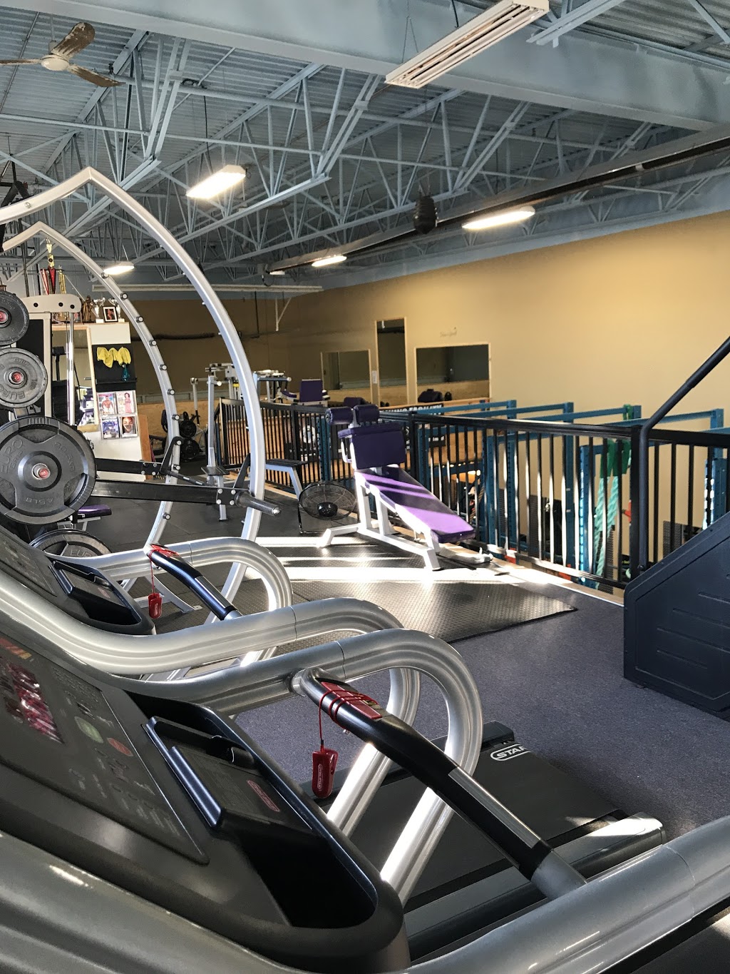 Apocalypse Fitness & Training Centre | 30-26157B 262 St, Aldergrove, BC V4W 3P8, Canada | Phone: (778) 552-9442