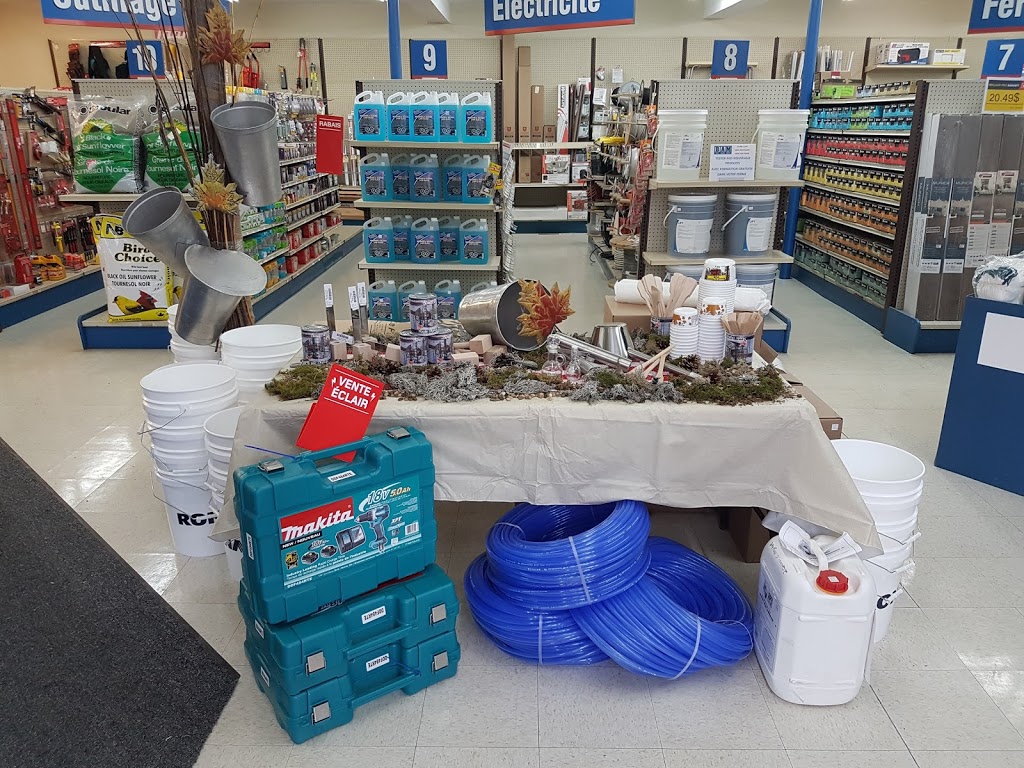 RONA Quincaillerie Poulin Lussier et filles inc. | 376 Rue Langevin, Saint-Odilon, QC G0S 3A0, Canada | Phone: (418) 464-2561