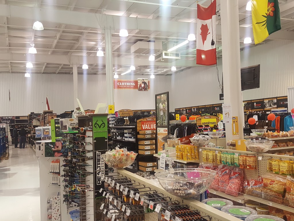 hardware stores regina