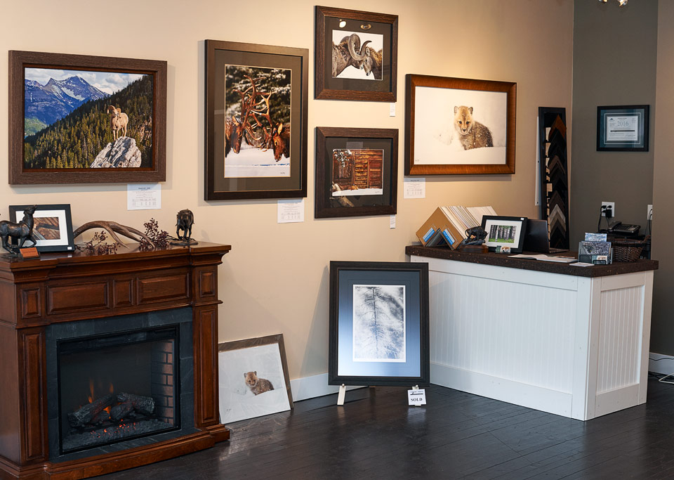 Launstein Imagery Wildlife Art Gallery | 12323 20 Ave, Blairmore, AB T0K 0E0, Canada | Phone: (403) 627-3969
