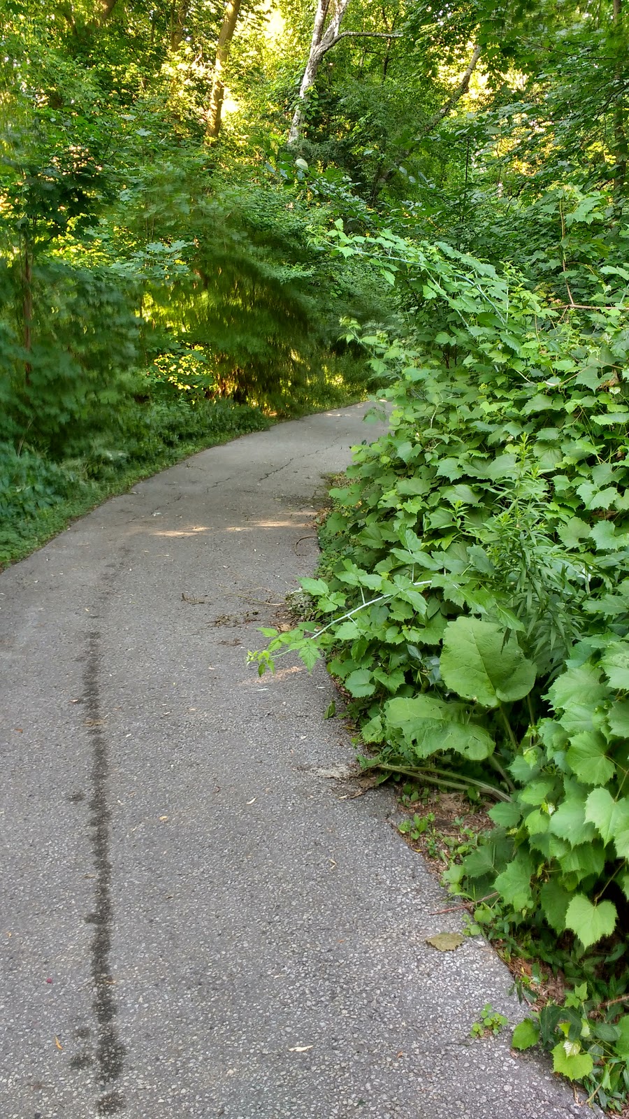 Hague Park | 300 Bellamy Rd N, Toronto, ON M1H, Canada