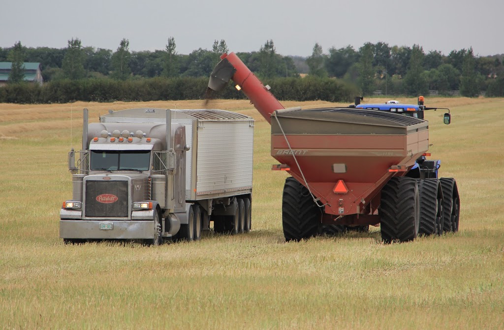 Delage Farms Ltd. | Indian Head, SK S0G 2K0, Canada | Phone: (306) 695-3959