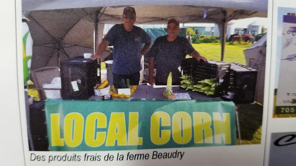 Beaudry Farm | 616 Leclair Rd, Verner, ON P0H 2M0, Canada | Phone: (705) 492-5115