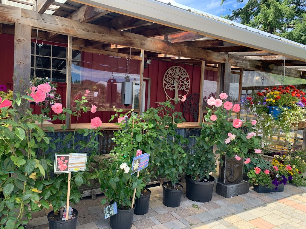 Paradise Plants Garden Centre | 2480 Hardy Rd, Courtenay, BC V9J 1T2, Canada | Phone: (250) 897-3898