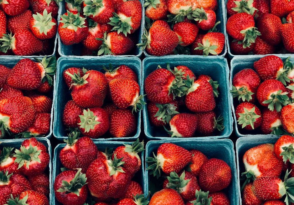 Plenty Wild Farms | 7611 Pemberton Meadows Rd, Pemberton, BC V0N 2L2, Canada | Phone: (604) 938-3730