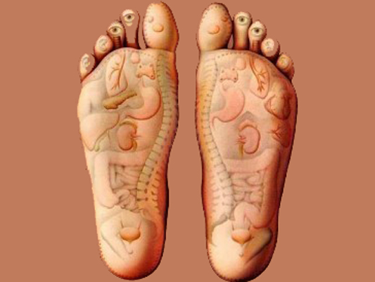 MuDan Natural Health | 384 Yonge St #34, Toronto, ON M5B 1S8, Canada | Phone: (416) 800-9009