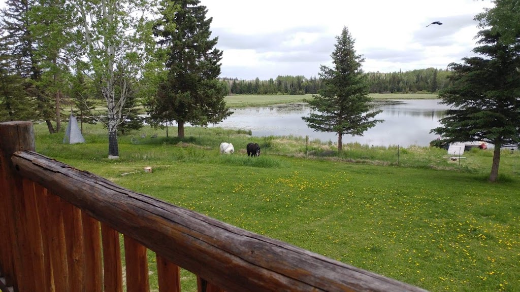 ORREN CREEK RANCH | Lone Butte, BC V0K 1X2, Canada | Phone: (360) 726-3788