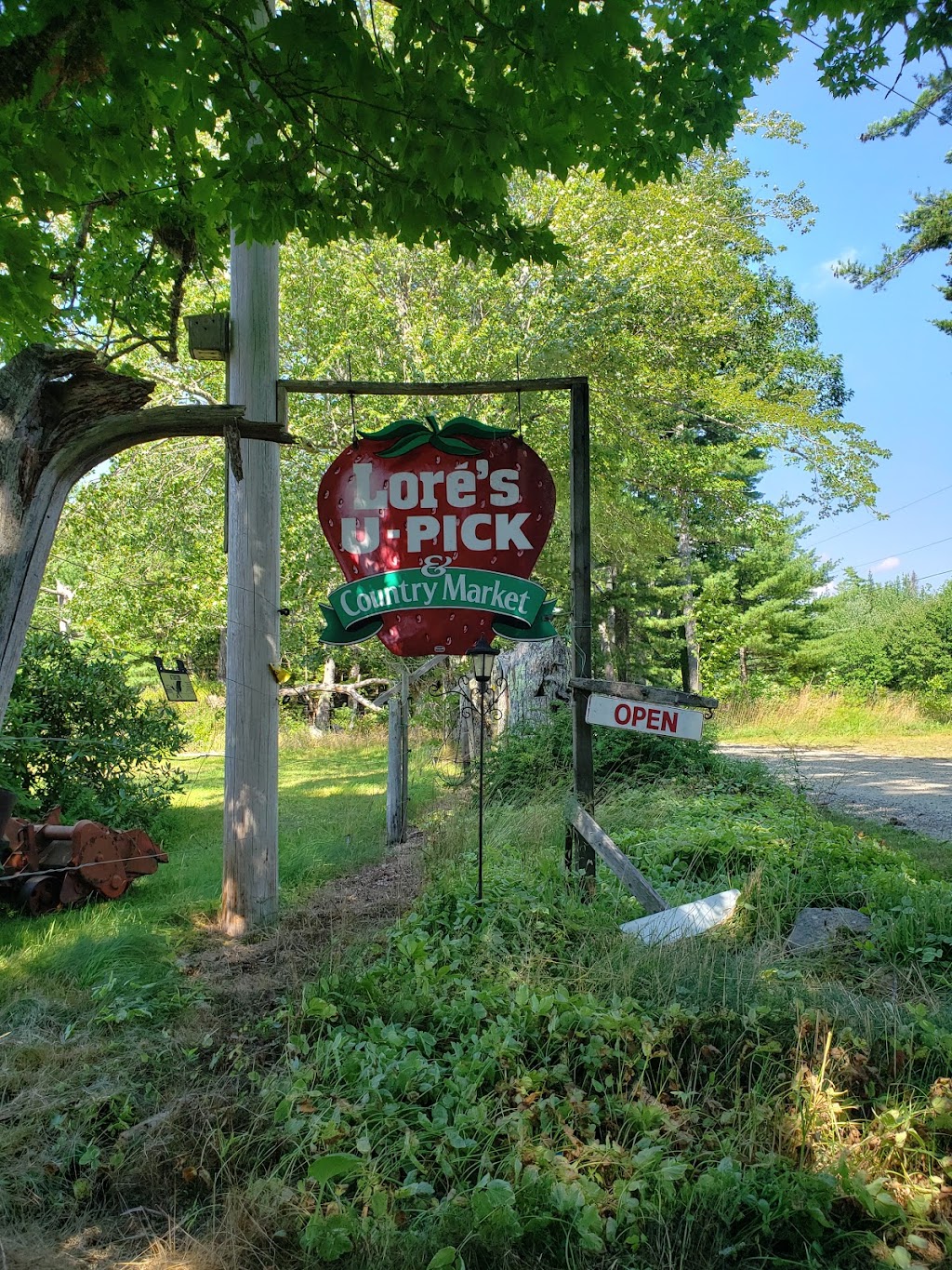 Lorés U-pick & Country Market | 5505 Upper Clyde Rd, Shelburne, NS B0T 1W0, Canada | Phone: (902) 875-2102