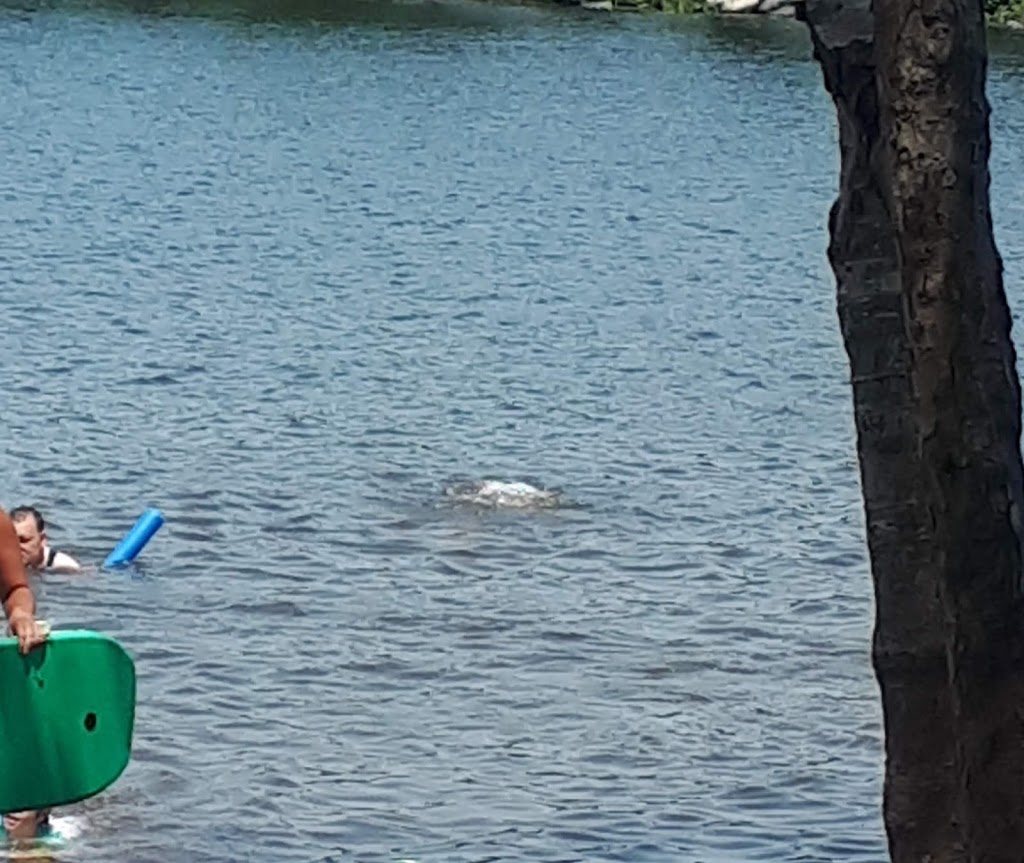 Kearney Lake Beach | Saskatoon Dr, Halifax, NS B3M 3H8, Canada