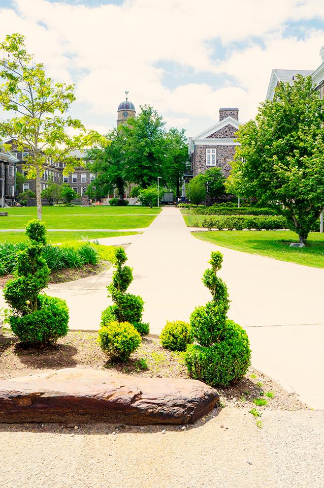 Dalhousie University College of Continuing Education | 1459 LeMarchant Street #2201, Halifax, NS B3H 4R2, Canada | Phone: (902) 494-2526
