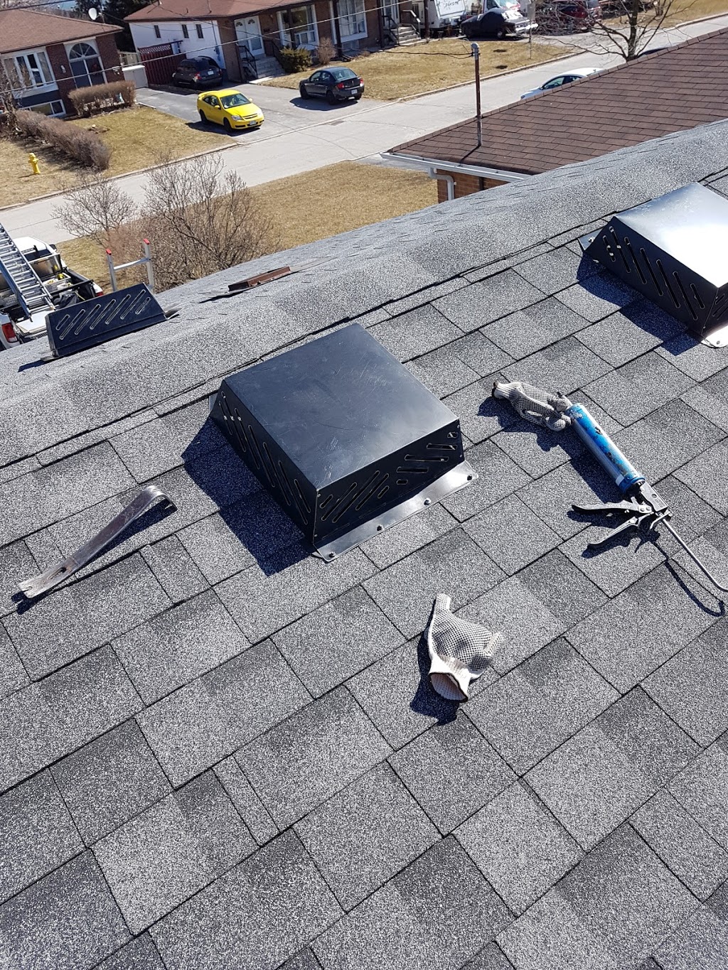Annex Wildlife Control & Repair | 2831 Kingston Rd, Scarborough, ON M1M 1N2, Canada | Phone: (416) 459-1575