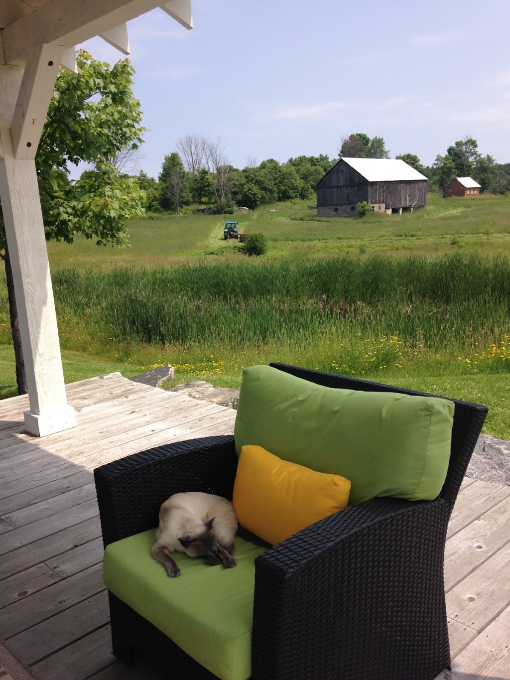 Imagineering Counselling Services | 1388 Ziska Rd, Bracebridge, ON P1L 1W8, Canada | Phone: (705) 706-1533