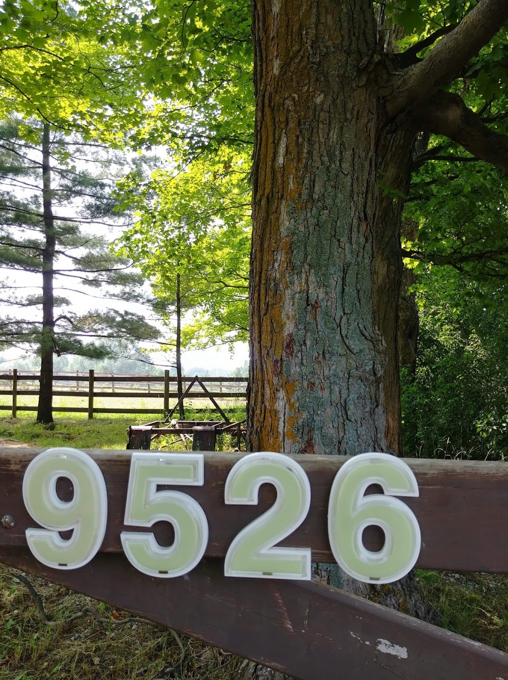 Iron Horse Equine | 9526 First Line Nassagaweya, Milton, ON L9T 2X7, Canada | Phone: (519) 823-6981