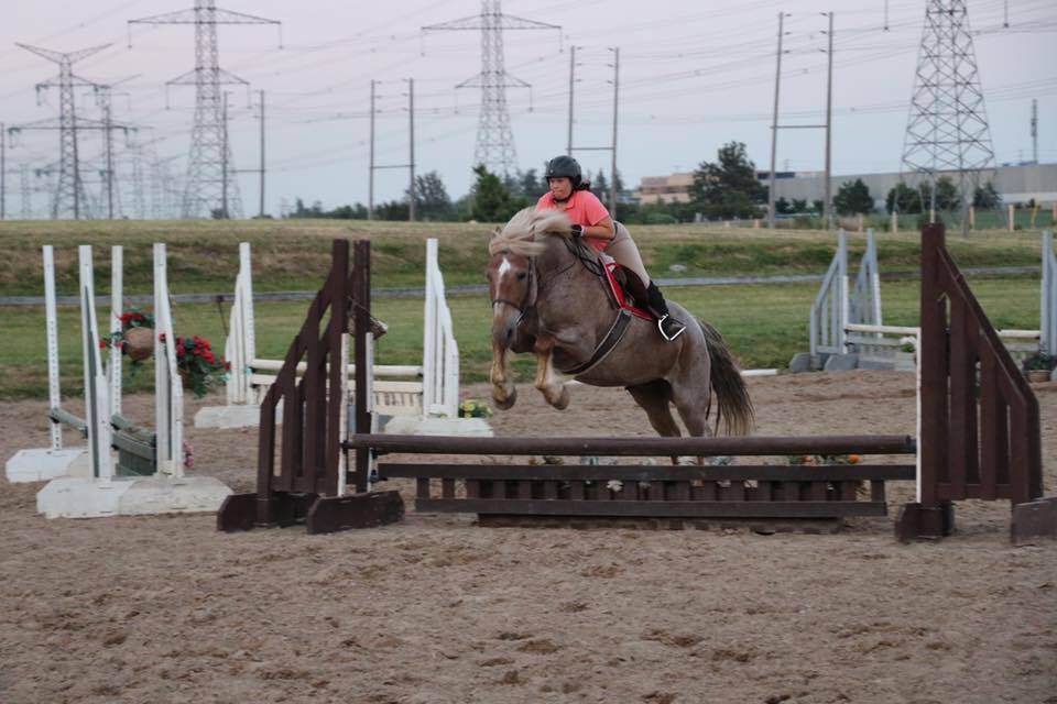 Meadowlarke Stables | 2800 Meadowpine Blvd, Mississauga, ON L5N 8C7, Canada | Phone: (905) 821-0419