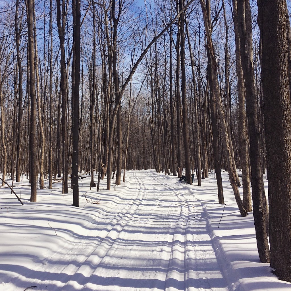 Fernand-Seguin Ecological Centre | 257 Rue Fernand-Seguin, Châteauguay, QC J6K 0J8, Canada | Phone: (450) 698-3133
