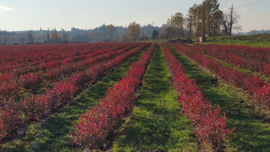 Falconglen Organic Farms | 26345 88 Ave, Langley City, BC V1M 3L9, Canada | Phone: (778) 859-2743