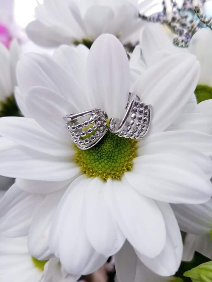 Tocara-Amélie Ringuette | 291 Rue du Bel-Horizon, Trois-Rivières, QC G9B 8B5, Canada | Phone: (819) 699-8981