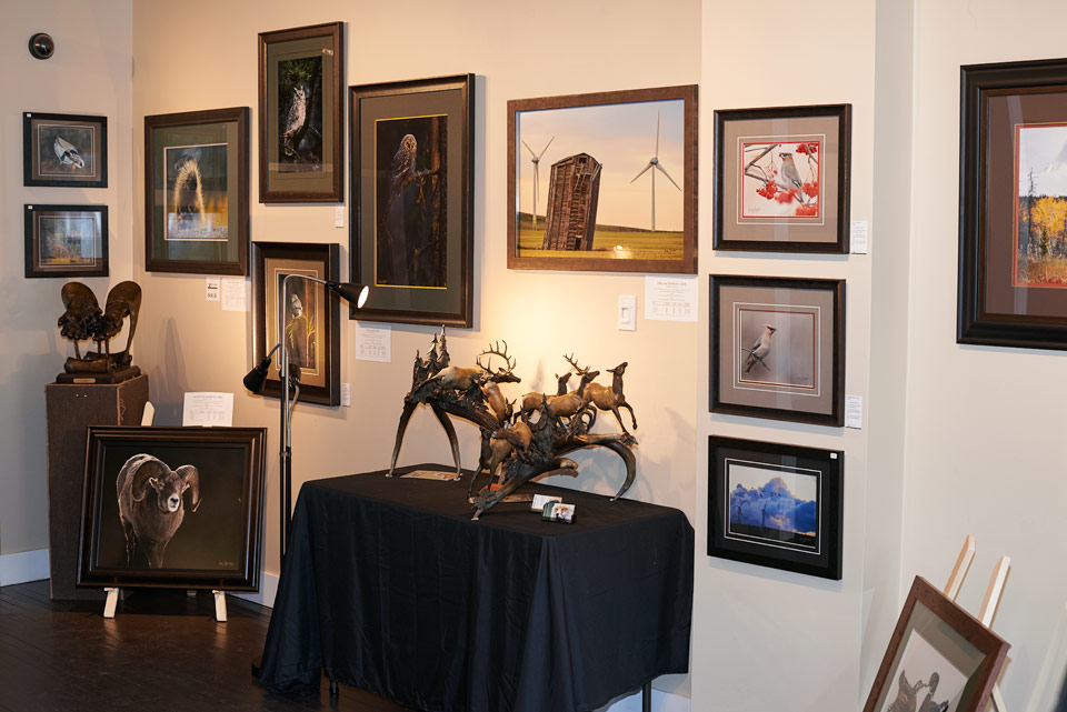 Launstein Imagery Wildlife Art Gallery | 12323 20 Ave, Blairmore, AB T0K 0E0, Canada | Phone: (403) 627-3969