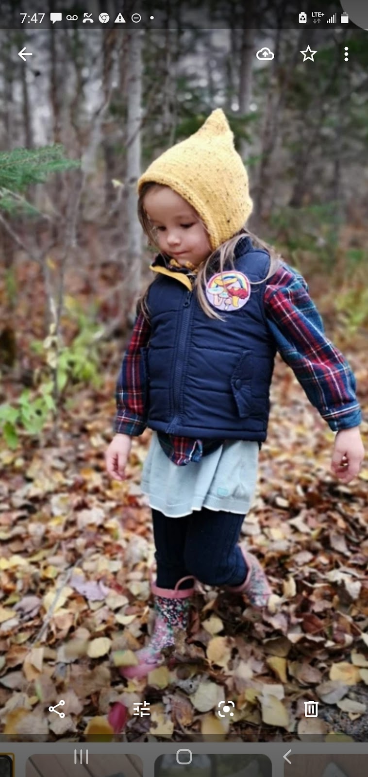 Pillowfort Daycare | 732 Ste Marie St, Collingwood, ON L9Y 4T5, Canada | Phone: (705) 606-0170