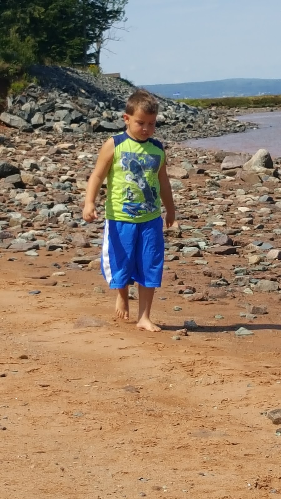 Beautiful Views At Low Tide | 38 Lighthouse Ln, Maitland, NS B0N 1T0, Canada