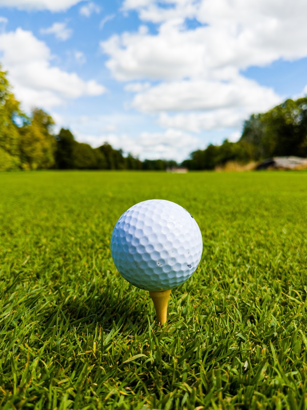 Perth Golf Course | 141 Peter St, Perth, ON K7H 3E4, Canada | Phone: (613) 267-3090