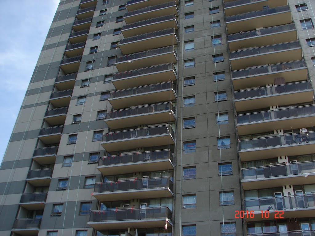 Pigeon Guard | 1 1/2 Birchmount Rd, Scarborough, ON M1N 3J3, Canada | Phone: (416) 690-0407