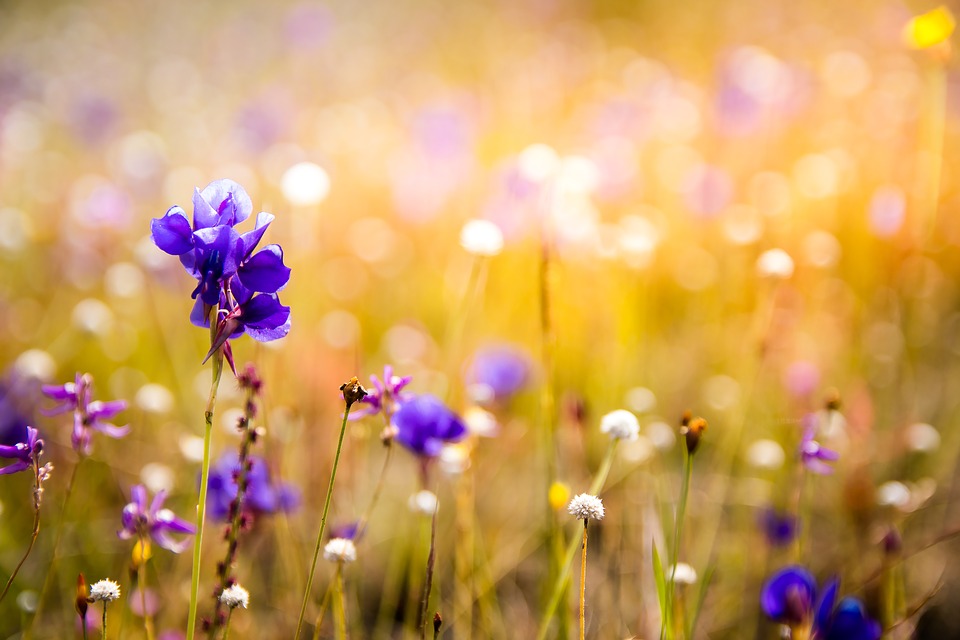 Tranquility Burial & Cremation Services Inc | 2390 Haines Rd #14, Mississauga, ON L4Y 1Y6, Canada | Phone: (905) 272-4989