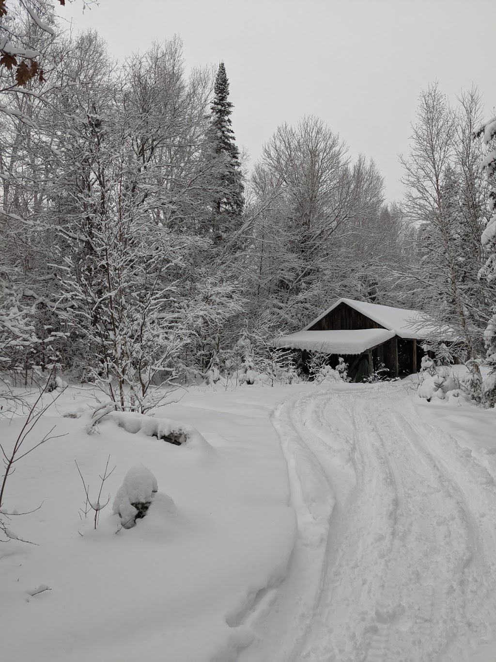 Deer Moose Lodge | 1526 Hwy 124, Sunny Slope, ON P0G, Canada | Phone: (905) 616-2010