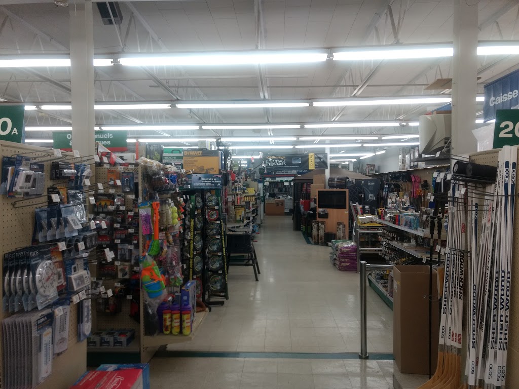 RONA Centre de rénovation Réal Riopel Inc. | 2650 Chemin dEntrelacs, Entrelacs, QC J0T 2E0, Canada | Phone: (450) 228-2575