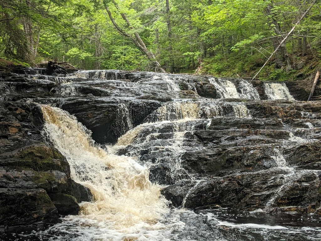 River Ridge Common | Nova Scotia Trunk 10, New Germany, NS B0R 1E0, Canada | Phone: (902) 543-8383