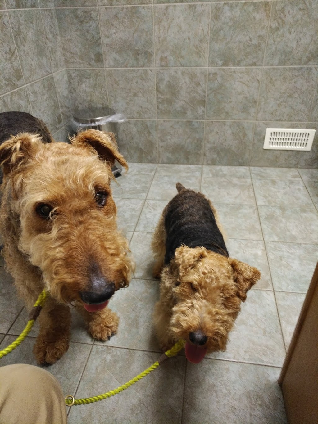 Omemee Veterinary Hospital | 128 King St W, Omemee, ON K0L 2W0, Canada | Phone: (705) 799-5228