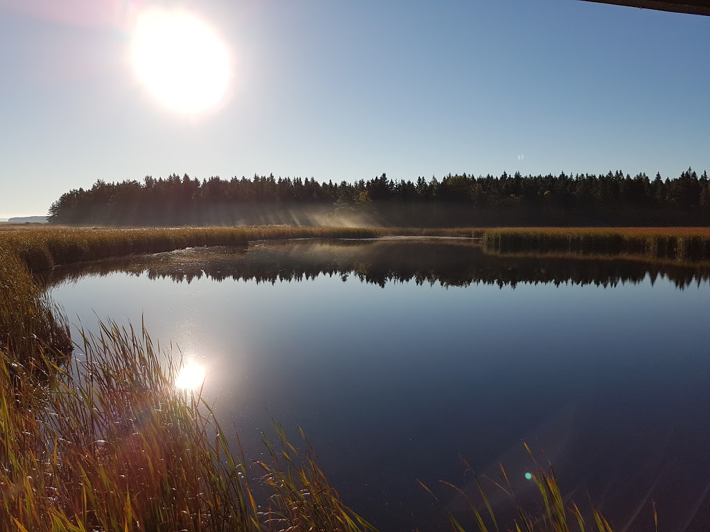 Shepody National Wildlife Area | NB-114, Riverside-Albert, NB E4H 2J9, Canada | Phone: (506) 882-2544