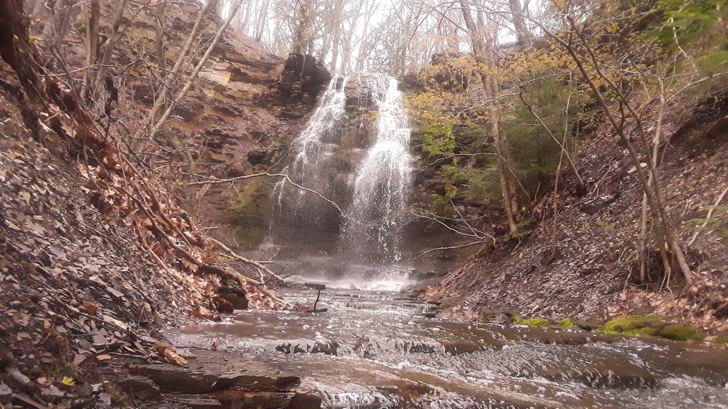18 Mile Creek Park | 2600-2772 S Creek Rd, Hamburg, NY 14075, USA