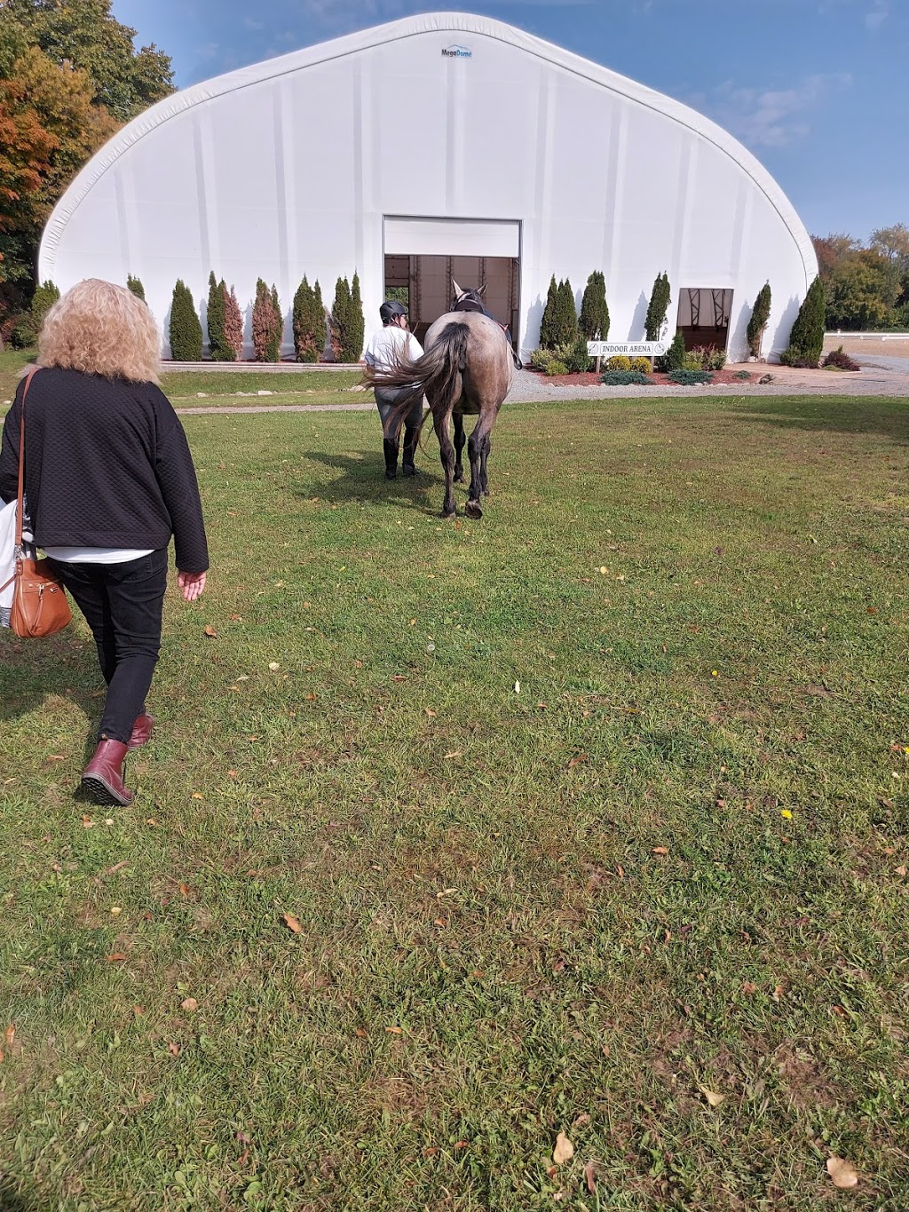 DreamCatcher Farm | 3185 McGarvey Rd, Inverary, ON K0H 1X0, Canada | Phone: (613) 353-9004