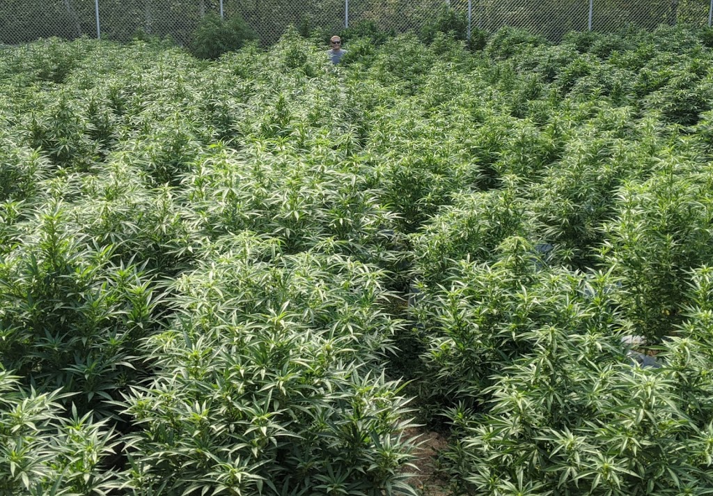 Cultivator Magazine | #1532, Upper Coverdale, NB E1J 1X7, Canada | Phone: (506) 863-4462