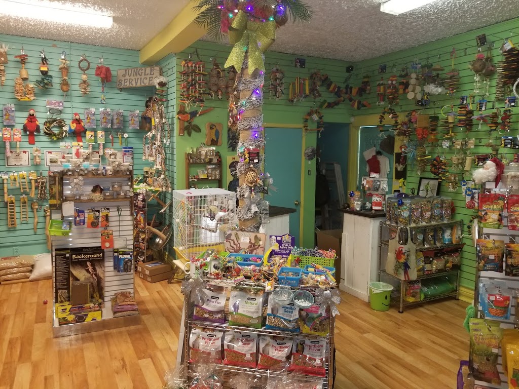 Jungle services | pet store | 169 Adelaide St N, London, ON N6B 3G9, Canada | 5192045243 OR +1 519-204-5243