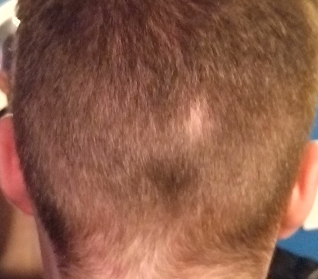 Stevies Barber Shop | 4317 Nova Scotia Trunk 2, Wellington, NS B2T 1C8, Canada | Phone: (902) 861-4911